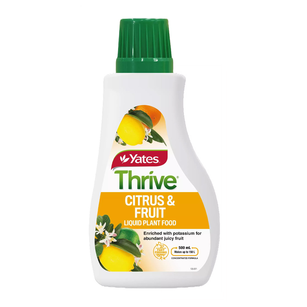 THCITRUS500