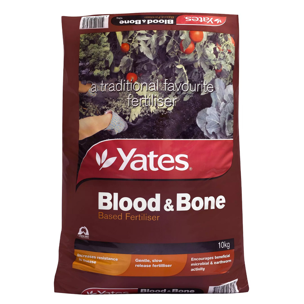YBBONE10