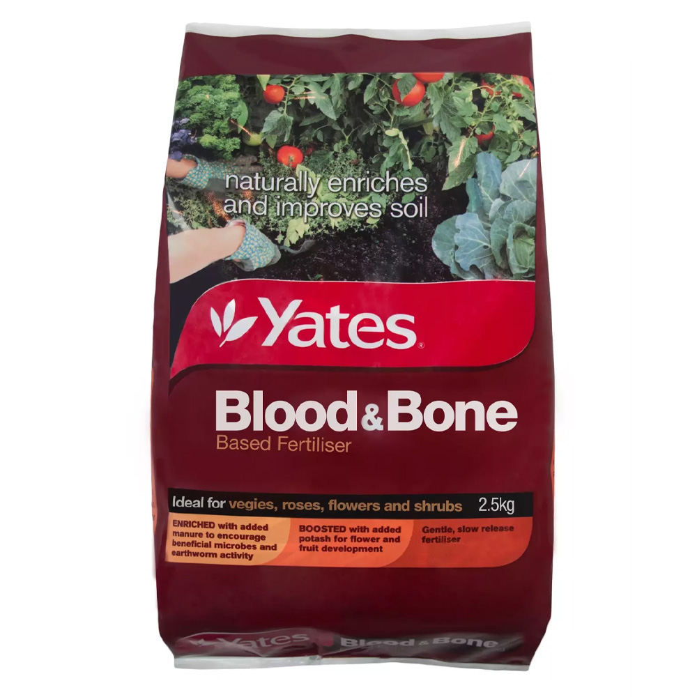YBBONE25