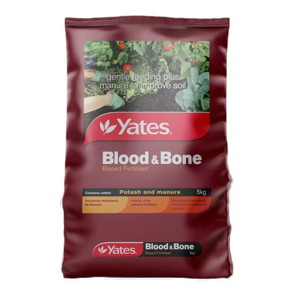 YBBONE5