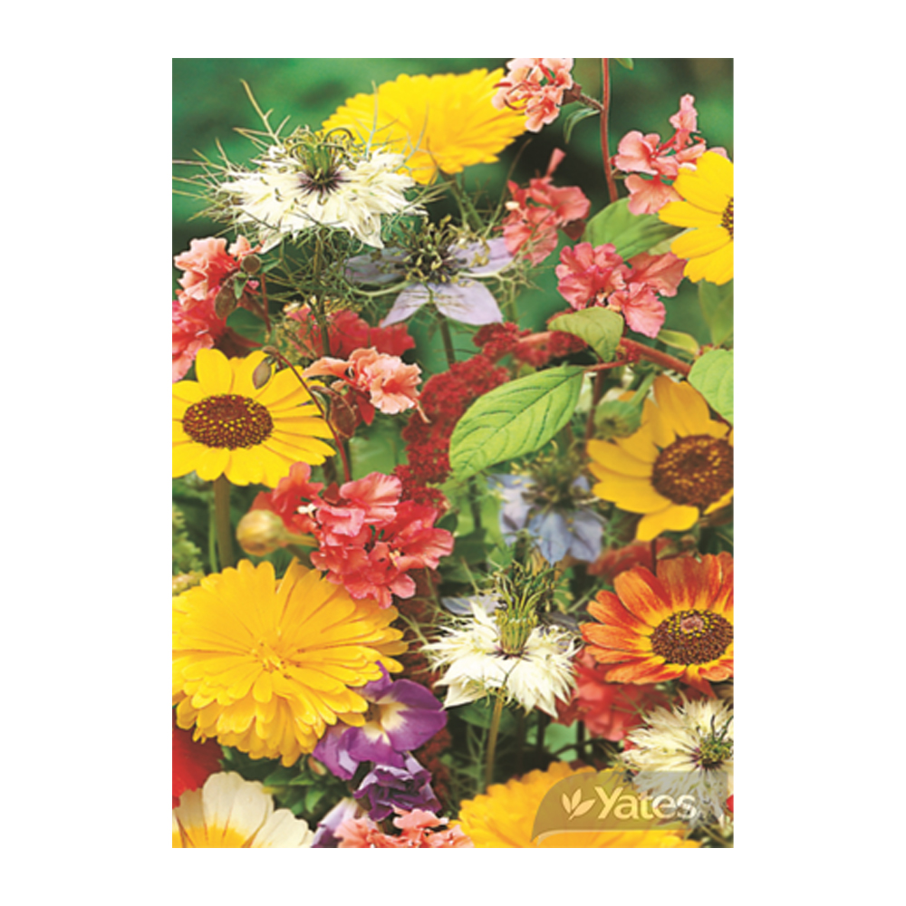 SEEDFWFF_2