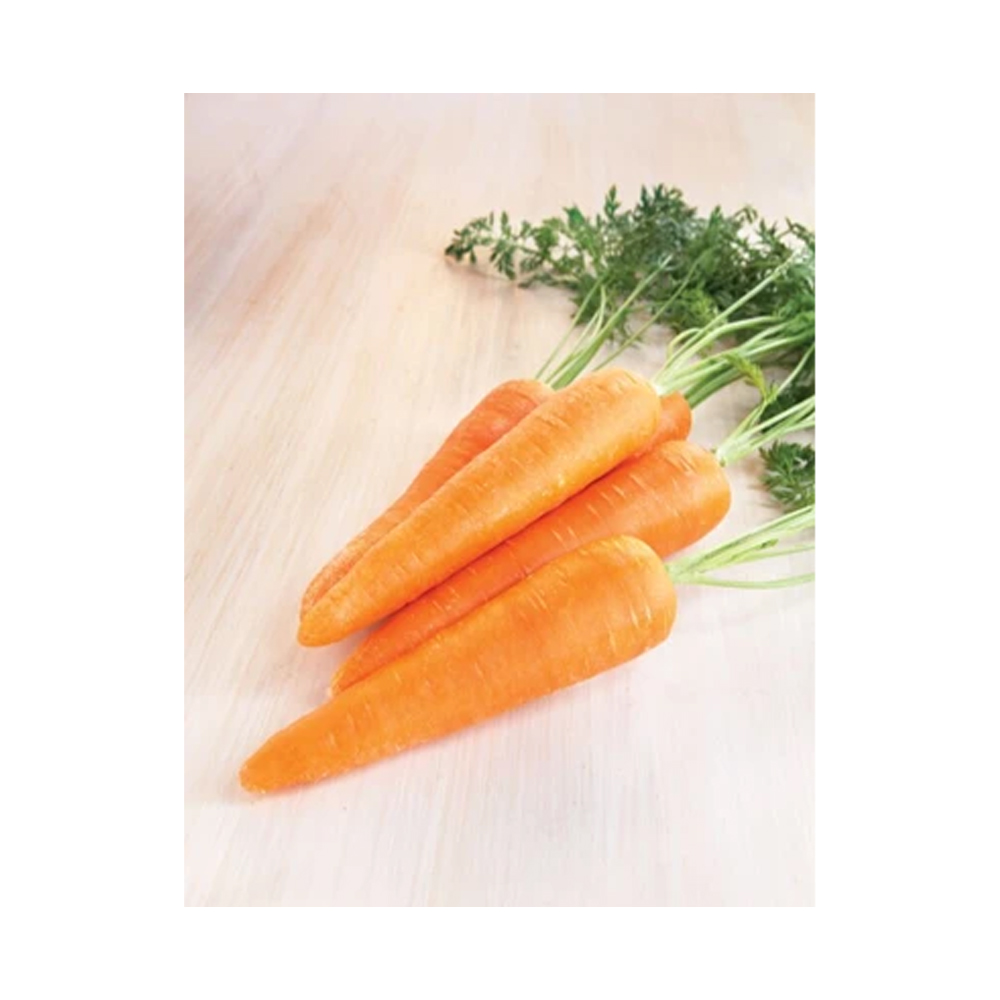 SEEDVCARROT_2