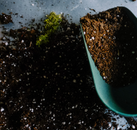 Gardening